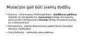 Paveldimumas. Mutacijos 13 puslapis