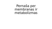 Pernaša per membranas ir metabolizmas
