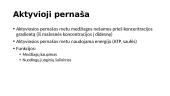 Pernaša per membranas ir metabolizmas 13 puslapis