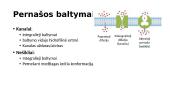 Pernaša per membranas ir metabolizmas 14 puslapis