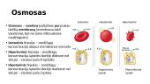 Pernaša per membranas ir metabolizmas 15 puslapis