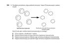 Pernaša per membranas ir metabolizmas 16 puslapis