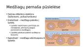 Pernaša per membranas ir metabolizmas 18 puslapis