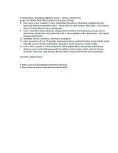 Bazinės žinios apie romantizmą 2 puslapis