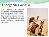 Vandens kiekis įvairiuose organizmuose 11 puslapis