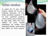 Vandens kiekis įvairiuose organizmuose 5 puslapis