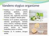 Vandens kiekis įvairiuose organizmuose 8 puslapis