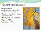 Vandens kiekis įvairiuose organizmuose 9 puslapis