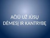 19 amžiaus liftai 6 puslapis