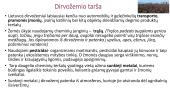 Paviršinių vandenų ir  dirvos užterštumas 2 puslapis