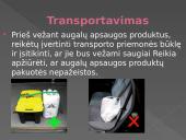 Darbų sauga dirbant su augalais 4 puslapis