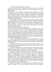 Krikščioniškosios sociologijos medžiaga 2 puslapis