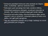 Apie žaibus 5 puslapis