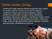 Apie žaibus 7 puslapis