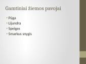 Ekstremalios situacijos: žiemos pavojai 11 puslapis