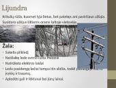 Ekstremalios situacijos: žiemos pavojai 13 puslapis