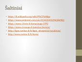 Ekstremalios situacijos: žiemos pavojai 20 puslapis