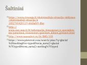 Ekstremalios situacijos: žiemos pavojai 9 puslapis