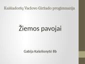 Ekstremalios situacijos: žiemos pavojai 10 puslapis