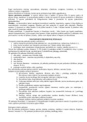 Kriminalistikos technika 13 puslapis