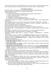 Kriminalistikos technika 14 puslapis