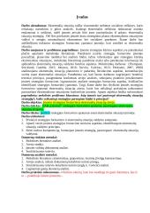 Įmonės strategijos formavimo ypatumai ekstremalių situacijų atveju 2 puslapis