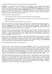 Miestų savivalda viduramžiais 2 puslapis