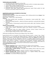 Vidurinieji amžiai nuo Vakarų Romos imperijos žlugimo iki DGA (476 – 1492) 2 puslapis