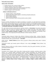 Ankstyvųjų viduramžių Europos ūkio ir kultūros ypatumai 2 puslapis