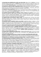 Lengvos logistikos temos 2 puslapis