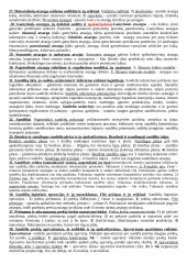 Lengvos logistikos temos 3 puslapis