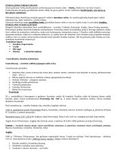 Viduramžių Europos politinė raida 2 puslapis