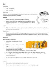 Svarbūs gyvūnai egzaminui 2 puslapis