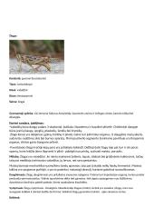 Svarbūs gyvūnai egzaminui 4 puslapis