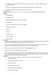 Vitaminai su aprašymais 4 puslapis