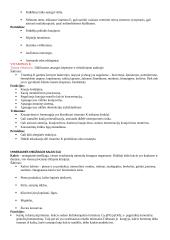 Vitaminai su aprašymais 5 puslapis