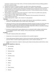 Vitaminai su aprašymais 9 puslapis