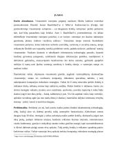 Mokslinio darbo pasiūlymas 2 puslapis