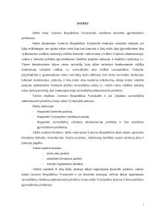 LR Vyriausybės vykdomos kontrolės įgyvendinimo problemos 2 puslapis