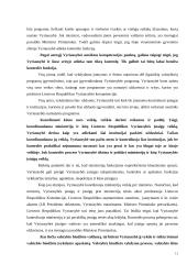 LR Vyriausybės vykdomos kontrolės įgyvendinimo problemos 12 puslapis