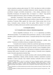 LR Vyriausybės vykdomos kontrolės įgyvendinimo problemos 17 puslapis