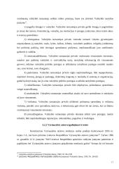 LR Vyriausybės vykdomos kontrolės įgyvendinimo problemos 18 puslapis
