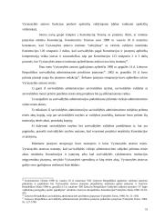 LR Vyriausybės vykdomos kontrolės įgyvendinimo problemos 19 puslapis