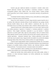 LR Vyriausybės vykdomos kontrolės įgyvendinimo problemos 4 puslapis