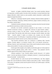 LR Vyriausybės vykdomos kontrolės įgyvendinimo problemos 5 puslapis