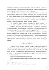 LR Vyriausybės vykdomos kontrolės įgyvendinimo problemos 8 puslapis