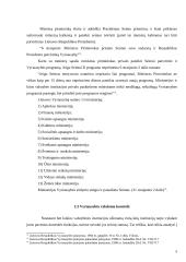LR Vyriausybės vykdomos kontrolės įgyvendinimo problemos 9 puslapis