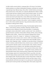 Kodėl žmogui svarbūs prisiminimai? (Mačernis, Sruoga, Škėma) 3 puslapis