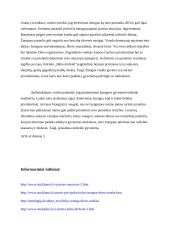 Kodėl žmogui svarbūs prisiminimai? (Mačernis, Sruoga, Škėma) 4 puslapis