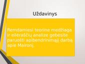 Maironis. Gyvenimas ir kūryba 2 puslapis